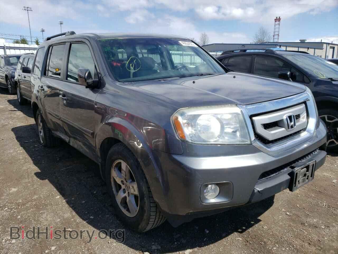 Фотография 5FNYF4H48BB045983 - HONDA PILOT 2011