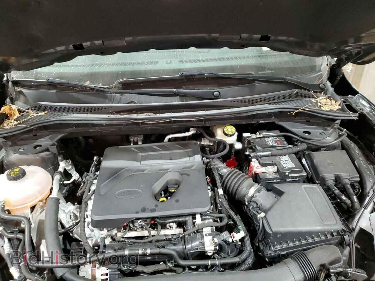 2020 FORD ESCAPE - VIN: 1FMCU9G61LUA04888 - Photo 12