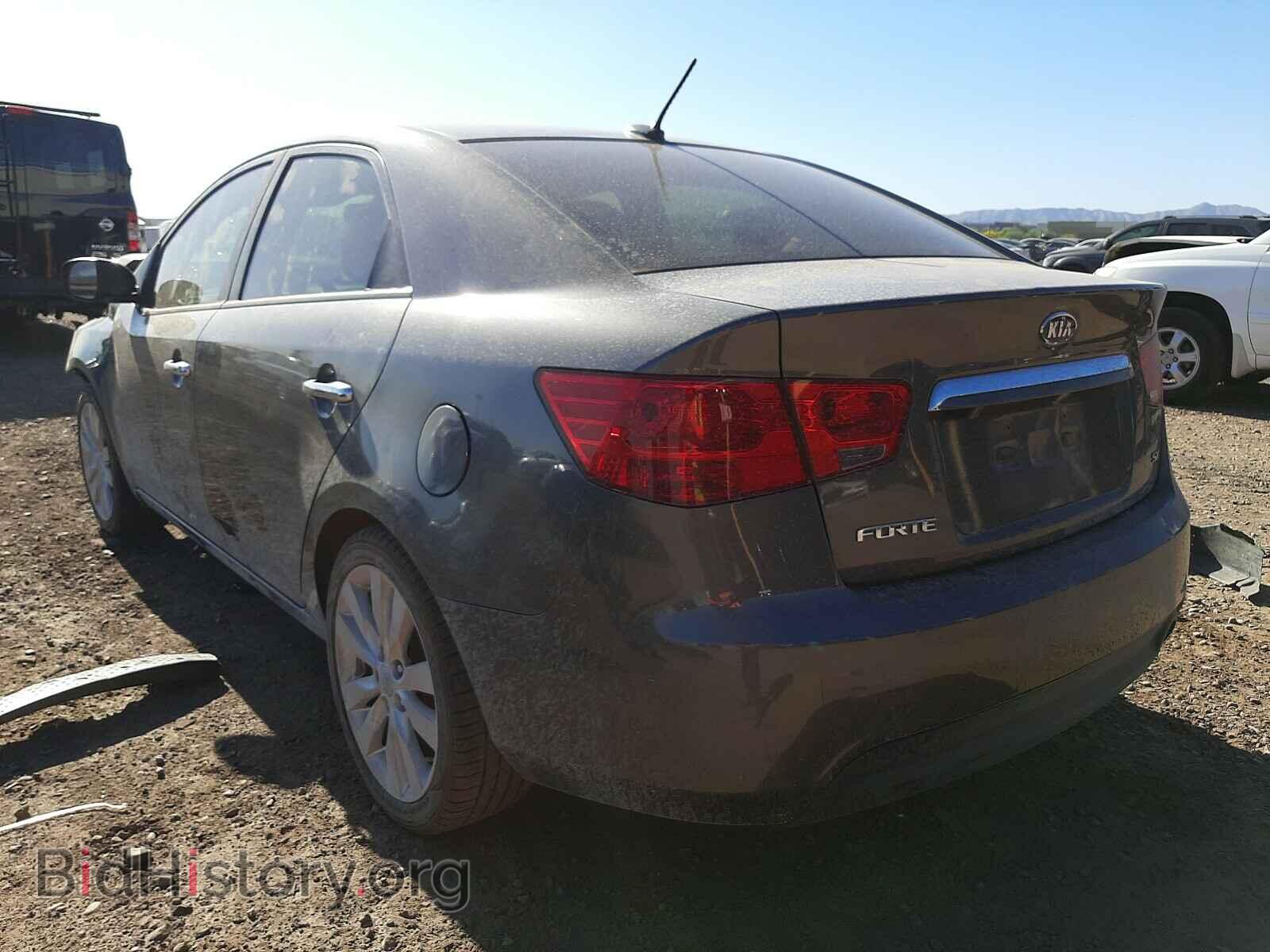 2013 KIA FORTE - VIN: KNAFW4A30D5701877 - Фото 3
