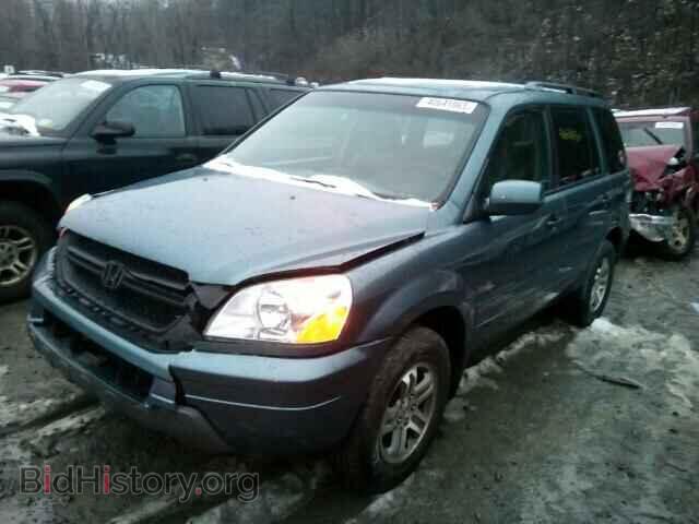 2005 HONDA PILOT - VIN: 5FNYF18555B057701 - Фото 2
