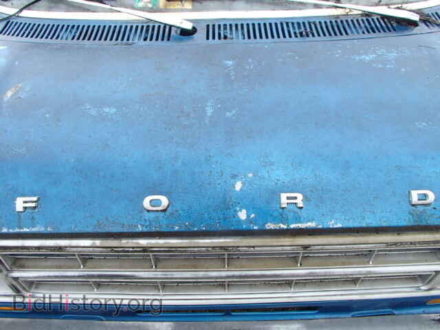 1978 FORD ECONOLINE - VIN: E14BBBA9821 - Photo 7