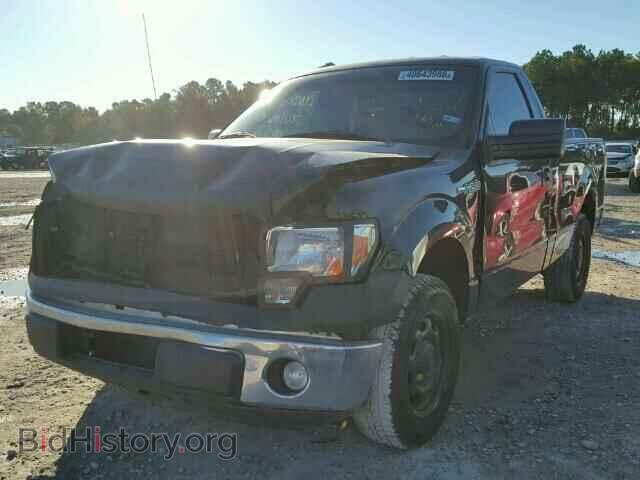 2013 FORD F150 - VIN: 1FTMF1CM2DFA86676 - Фото 2