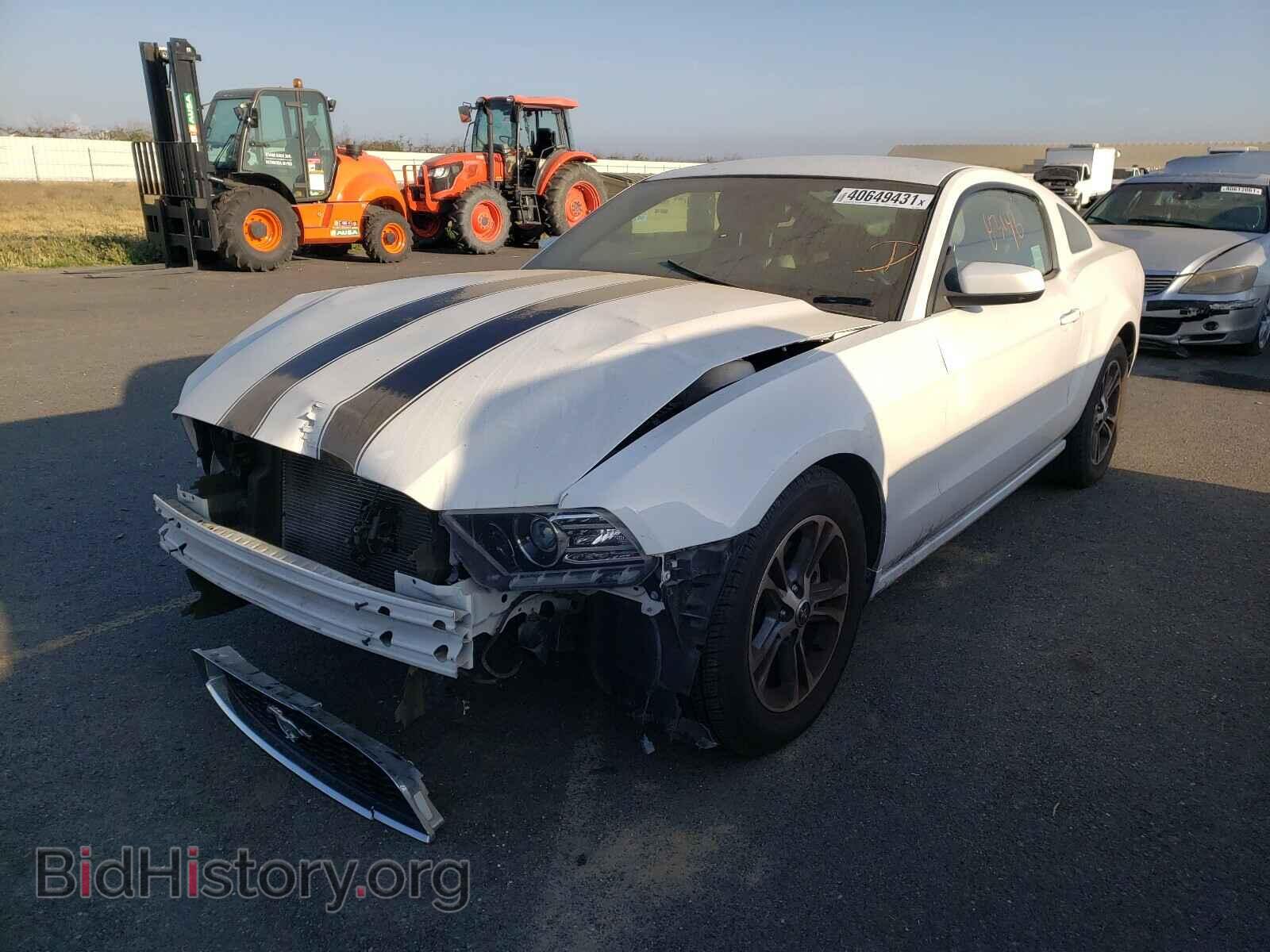 2014 FORD MUSTANG - VIN: 1ZVBP8AM8E5262344 - Фото 2