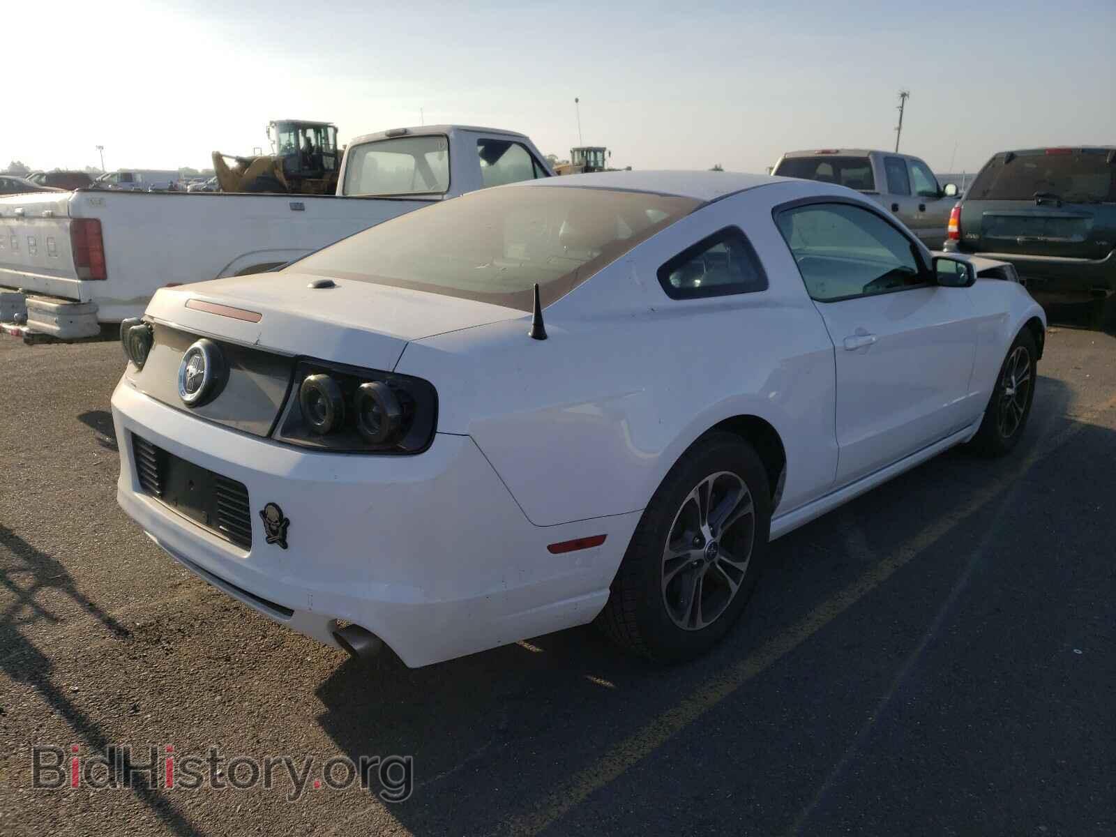 2014 FORD MUSTANG - VIN: 1ZVBP8AM8E5262344 - Фото 4