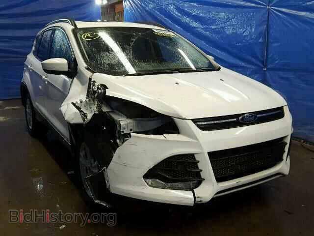 Фотография 1FMCU0GX6EUC46793 - FORD ESCAPE 2014