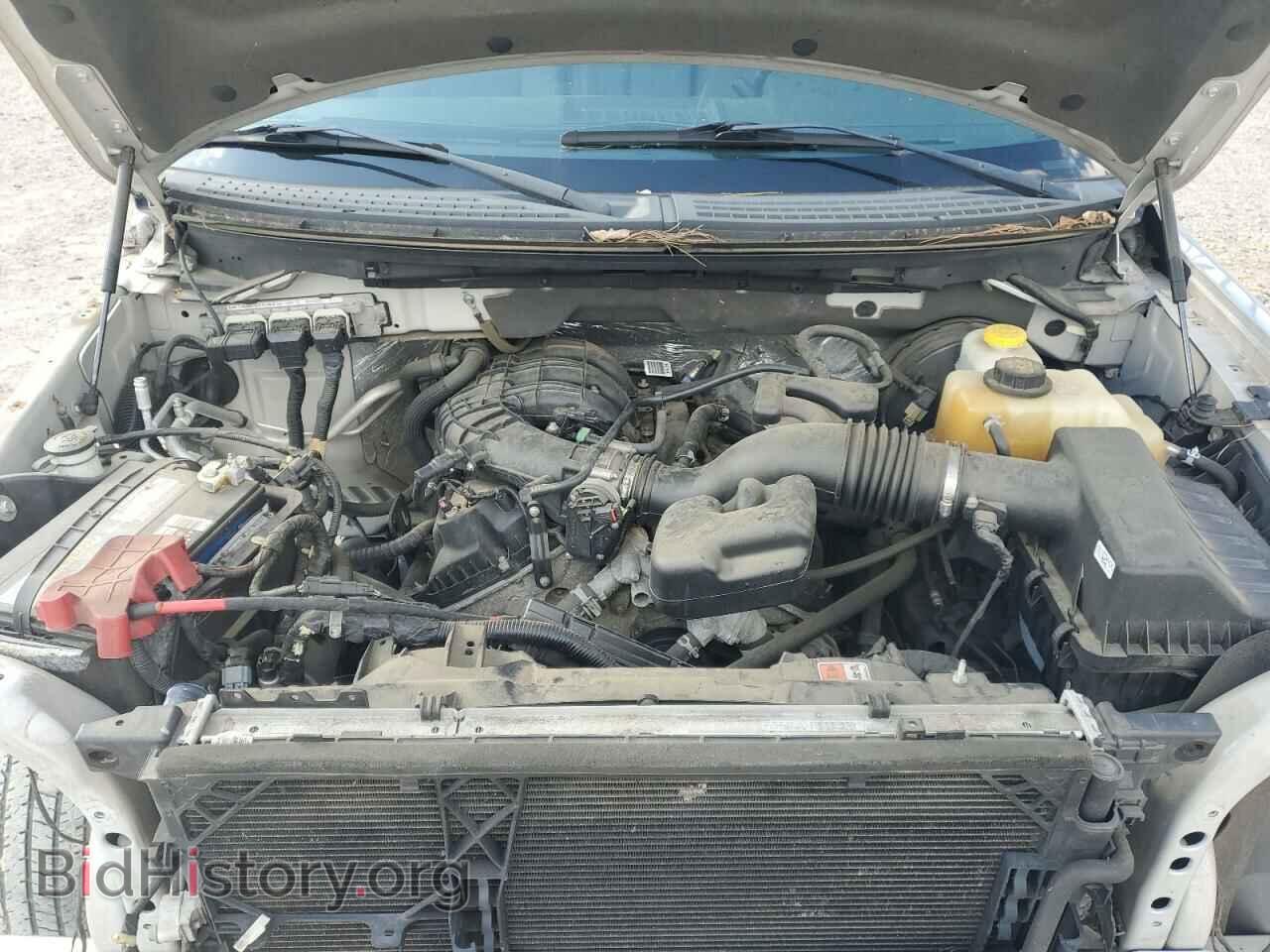 2014 FORD All Models - VIN: 1FTMF1CM0EFC13488 - Фото 11