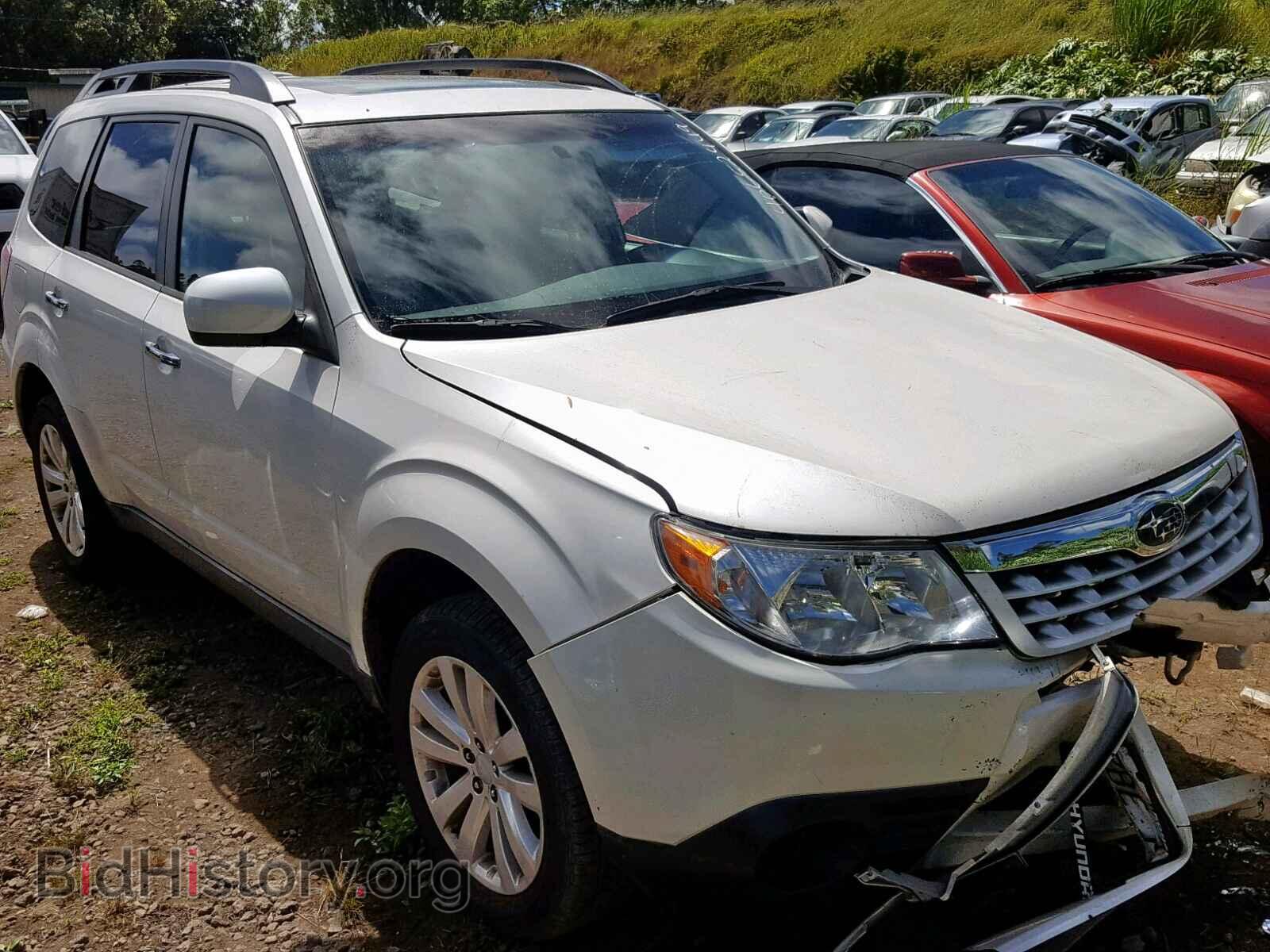 Фотография JF2SHBCC2DH445867 - SUBARU FORESTER 2013