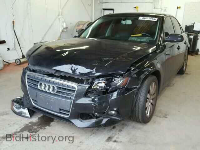 2010 AUDI A4 - VIN: WAUFFBFL7AN033956 - Фото 2