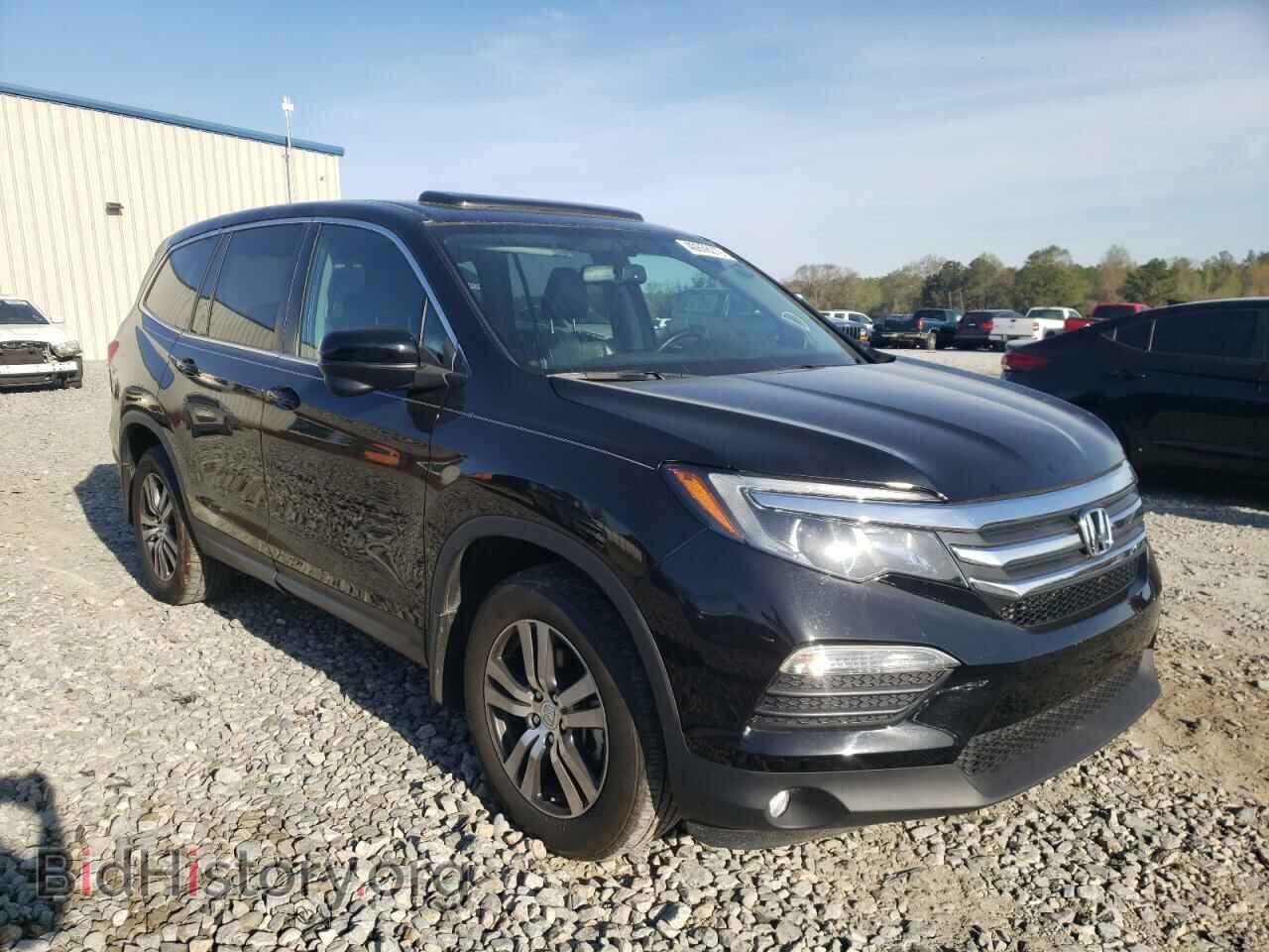 Photo 5FNYF5H57JB009084 - HONDA PILOT 2018