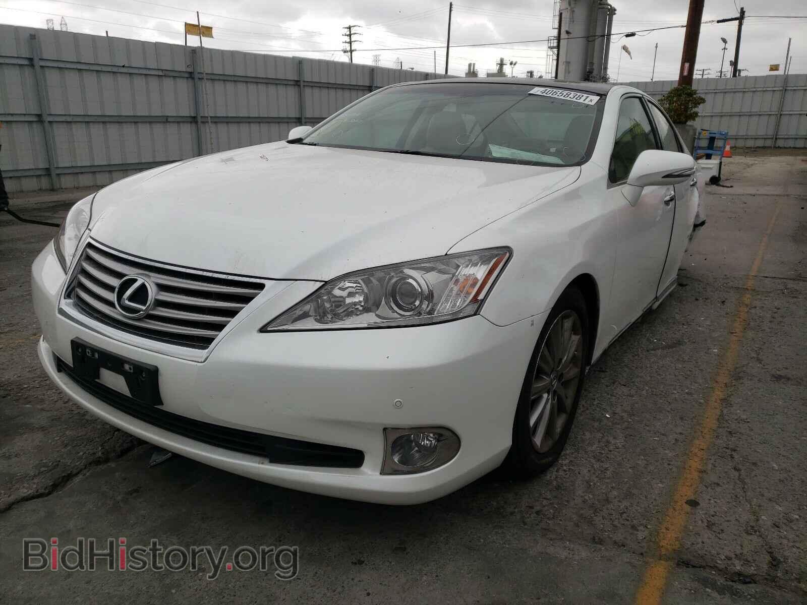 2011 LEXUS ES350 - VIN: JTHBK1EG5B2472490 - Фото 2