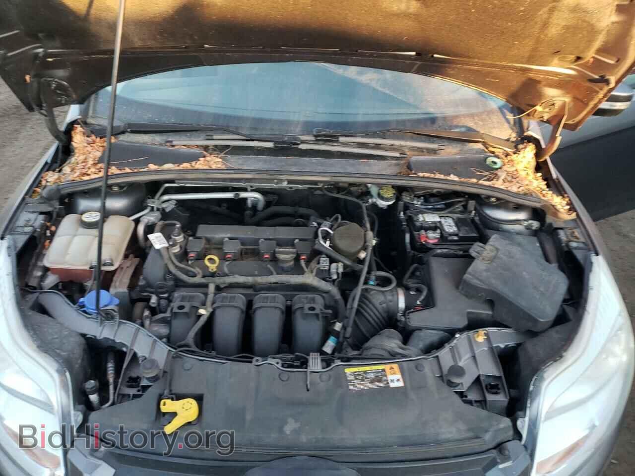 2013 FORD FOCUS - VIN: 1FADP3F29DL209366 - Фото 11