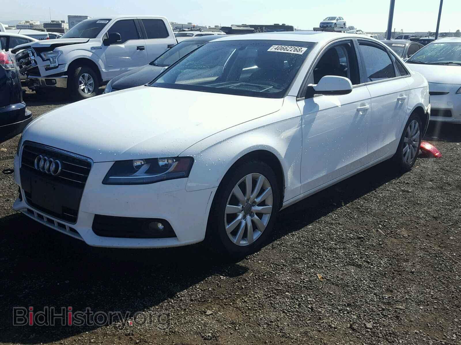 2012 AUDI A4 - VIN: WAUAFAFL3CA118128 - Фото 2