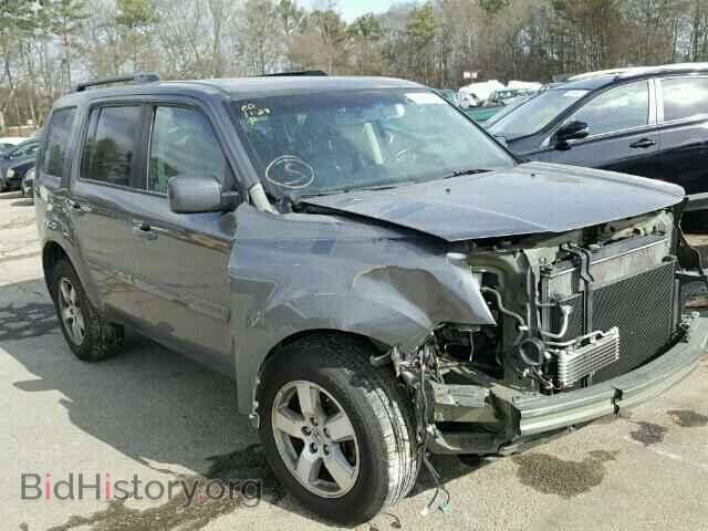 Фотография 5FNYF3H59BB031304 - HONDA PILOT 2011