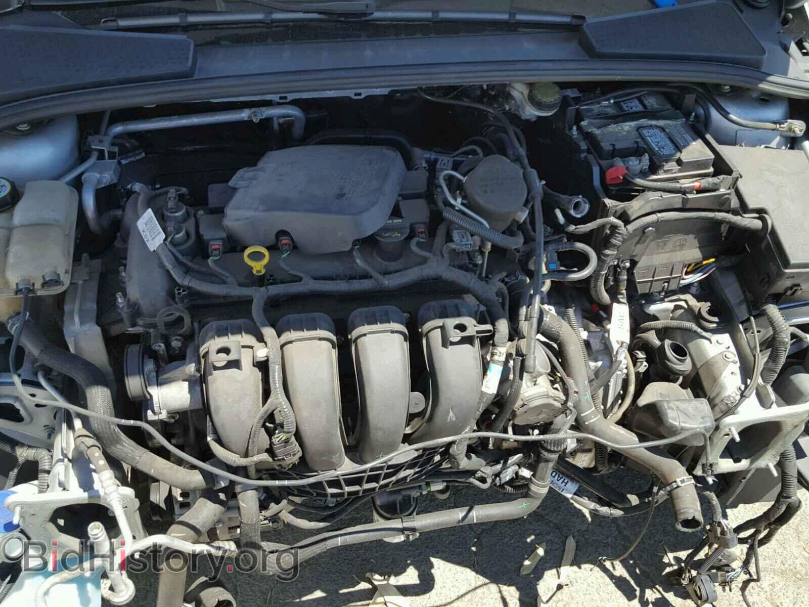 2013 FORD FOCUS - VIN: 1FADP3F20DL300266 - Фото 7
