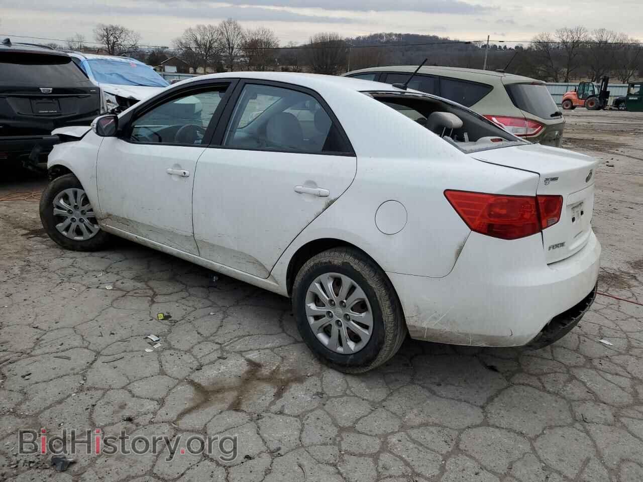 2010 KIA FORTE - VIN: KNAFU4A2XA5058513 - Фото 2