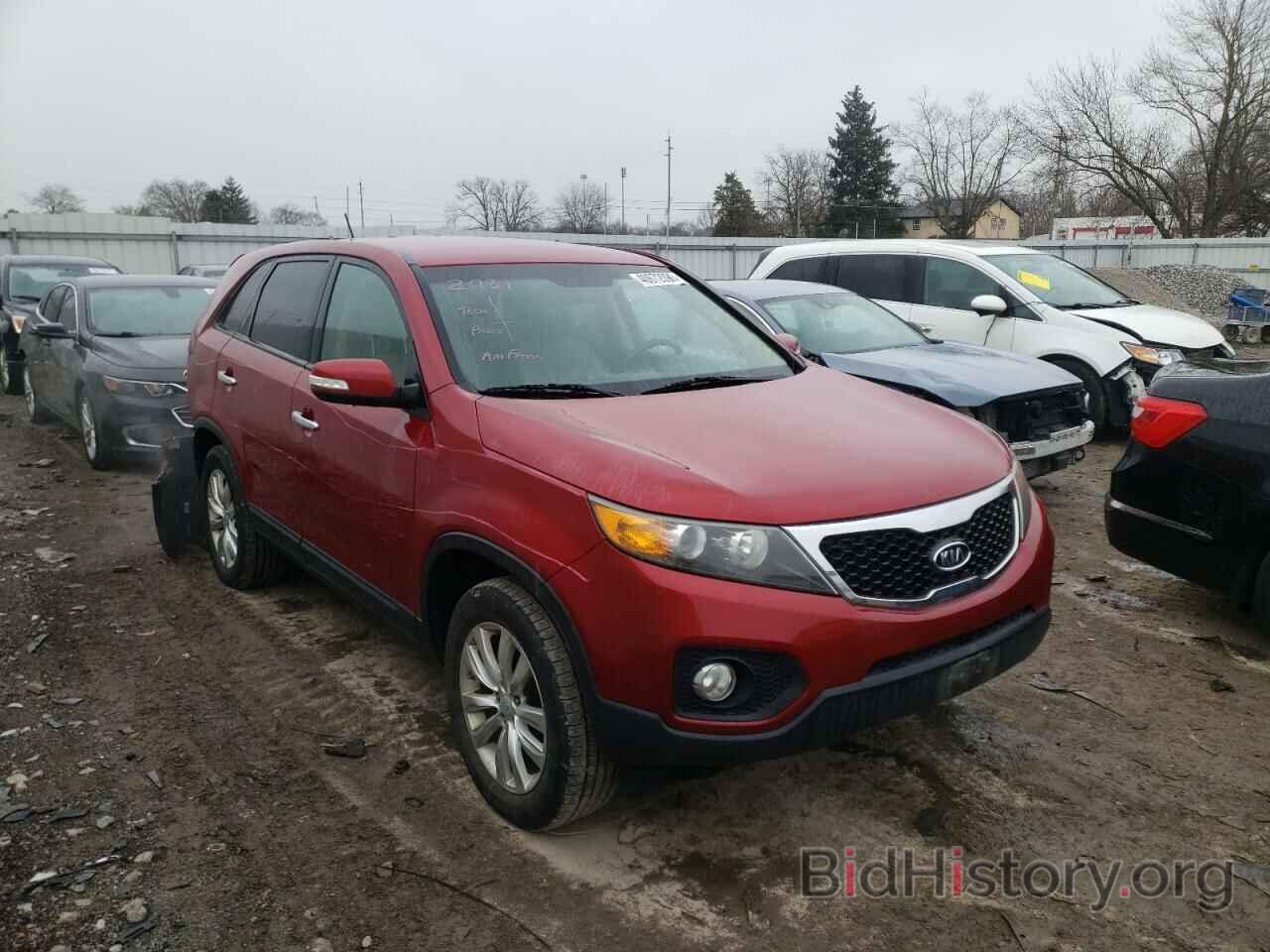 Photo 5XYKU3A16BG011216 - KIA SORENTO 2011