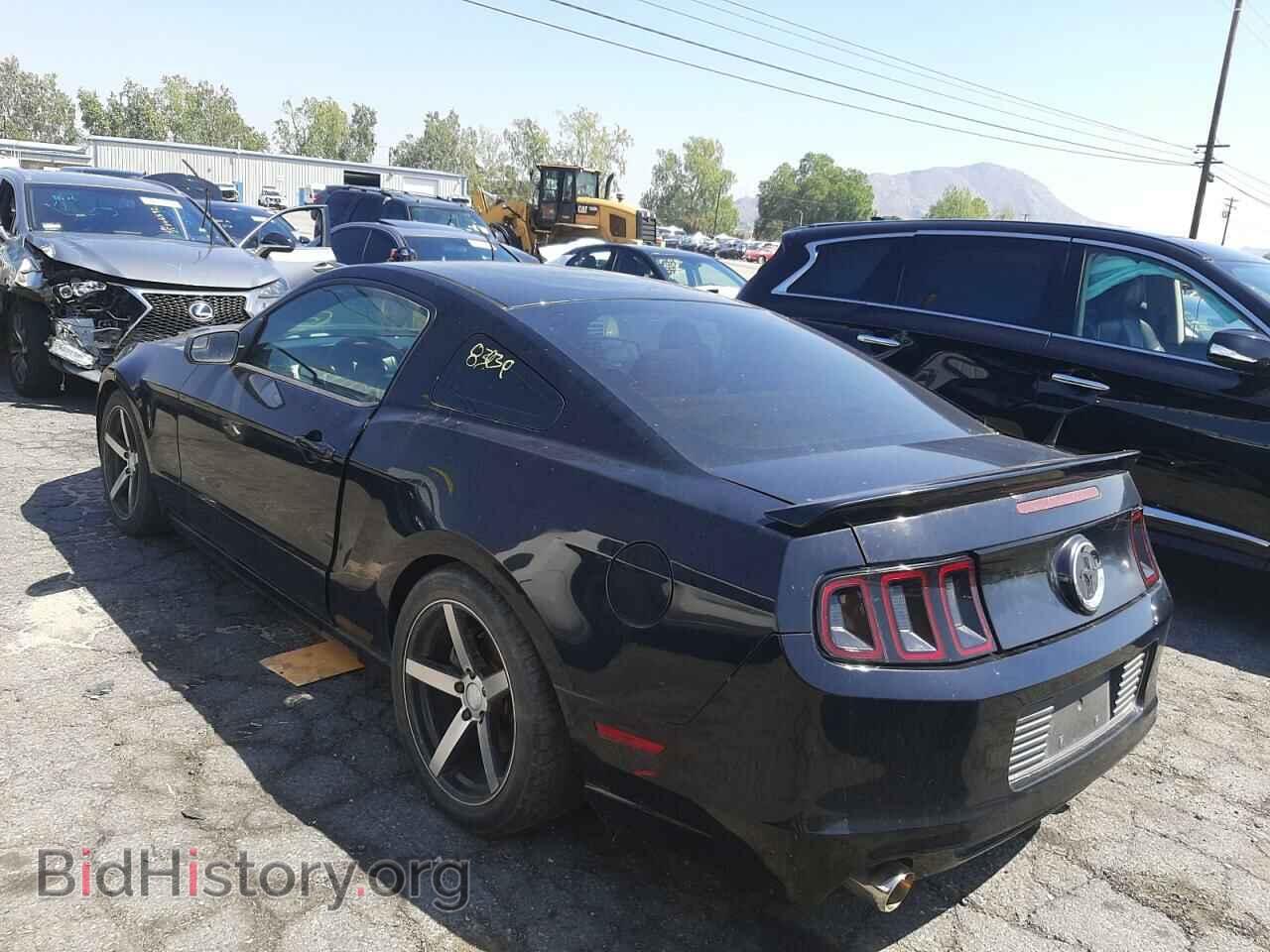 2013 FORD MUSTANG - VIN: 1ZVBP8AM8D5259507 - Фото 3