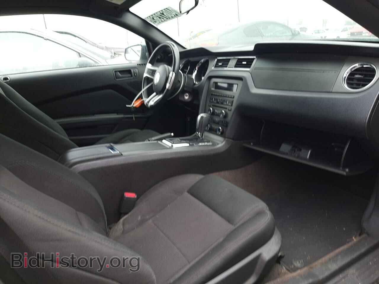 2013 FORD MUSTANG - VIN: 1ZVBP8AM8D5259507 - Фото 5