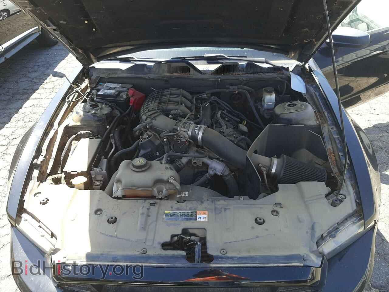 2013 FORD MUSTANG - VIN: 1ZVBP8AM8D5259507 - Фото 7