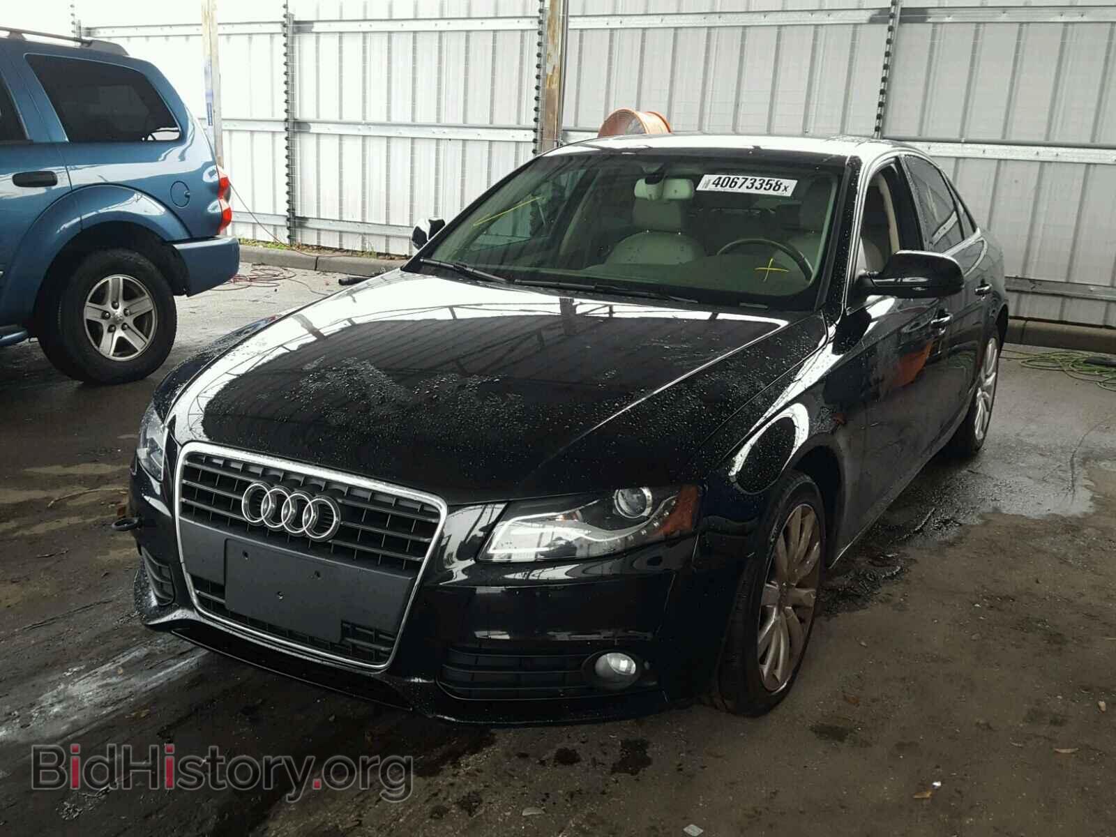 2011 AUDI A4 - VIN: WAUEFAFL8BN040082 - Фото 2