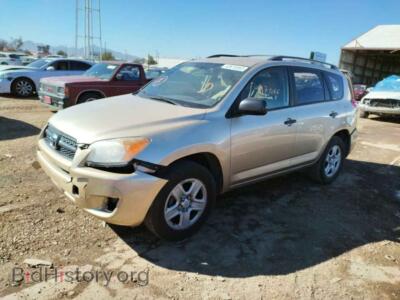 2010 Toyota RAV4, светло-коричневый — VIN 2T3BF4DVXAW027286, Copart