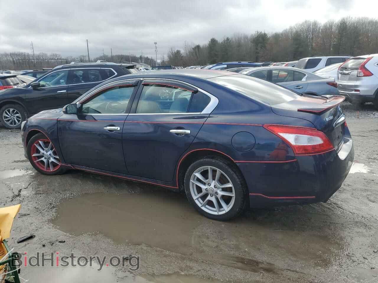 2009 NISSAN MAXIMA - VIN: 1N4AA51E89C819123 - Фото 2