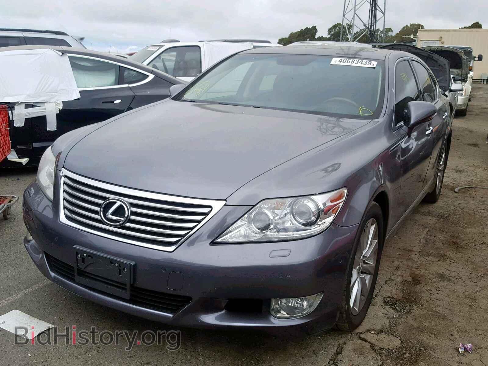 2012 LEXUS LS460 - VIN: JTHBL5EF4C5111392 - Фото 2