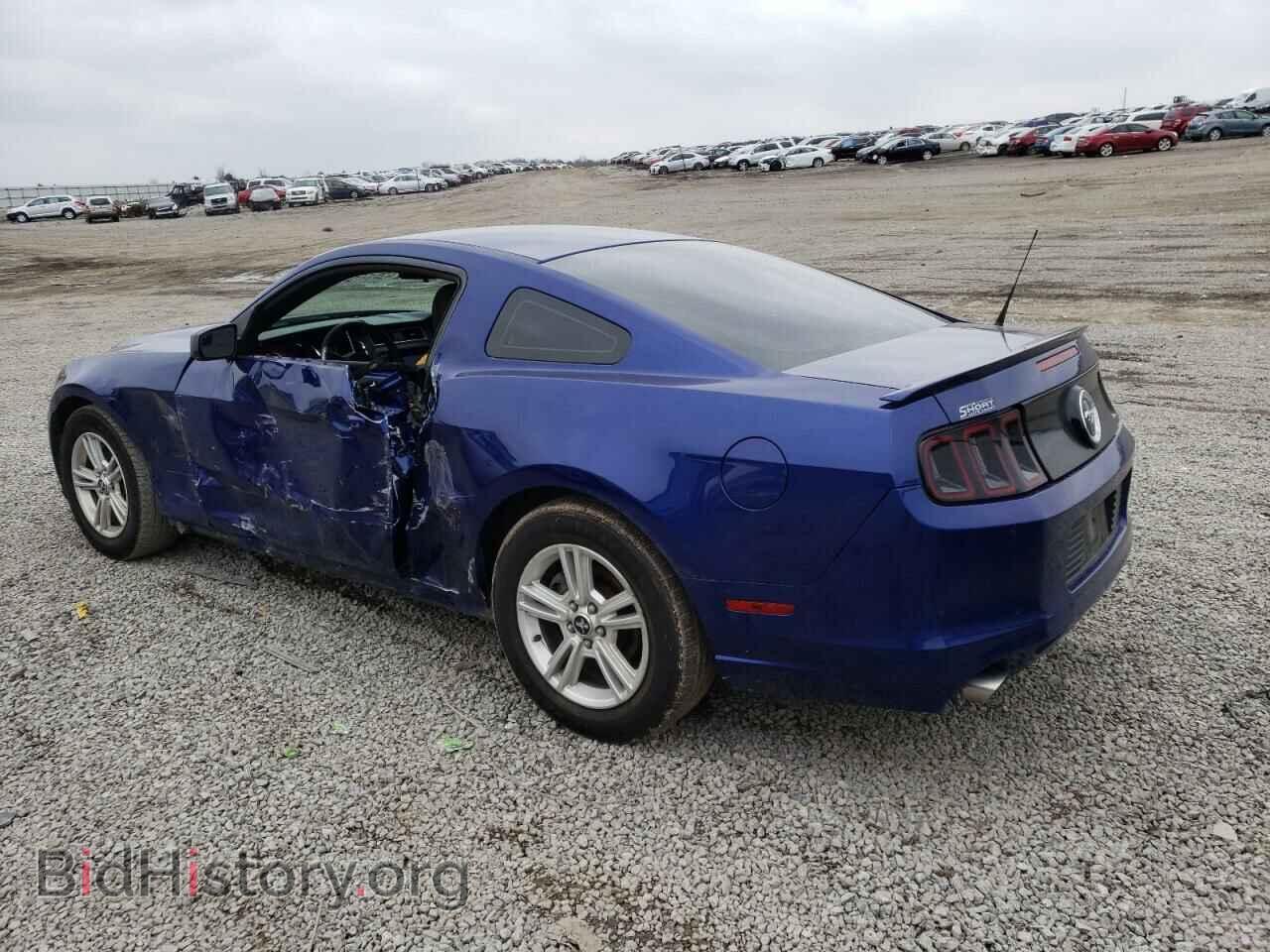 2013 FORD MUSTANG - VIN: 1ZVBP8AM8D5269986 - Фото 2