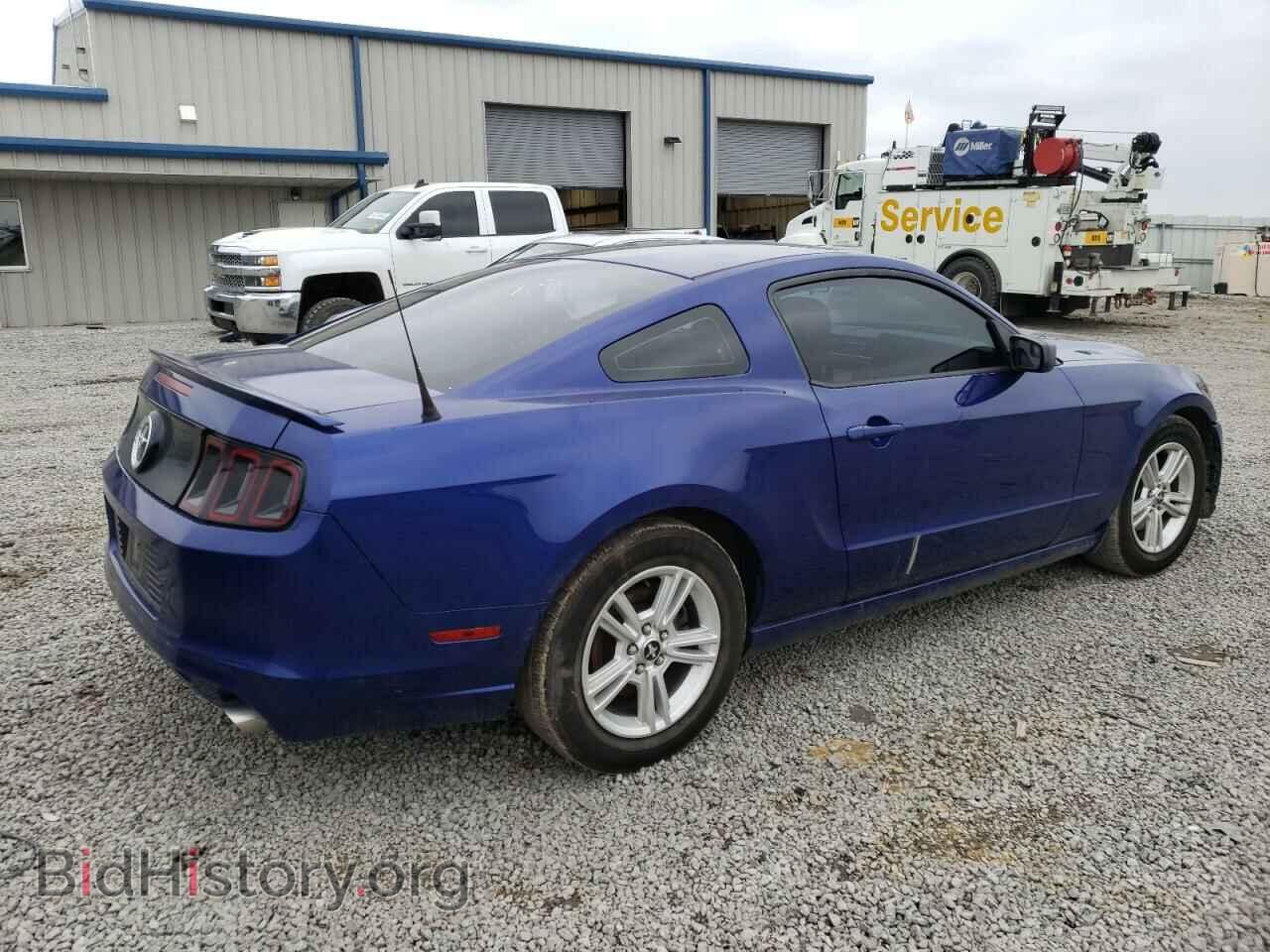 2013 FORD MUSTANG - VIN: 1ZVBP8AM8D5269986 - Фото 3