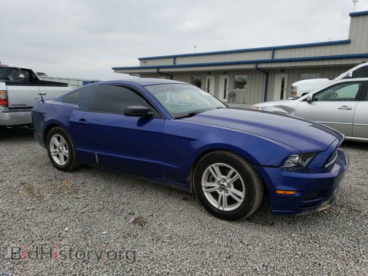 2013 FORD MUSTANG - VIN: 1ZVBP8AM8D5269986 - Фото 4