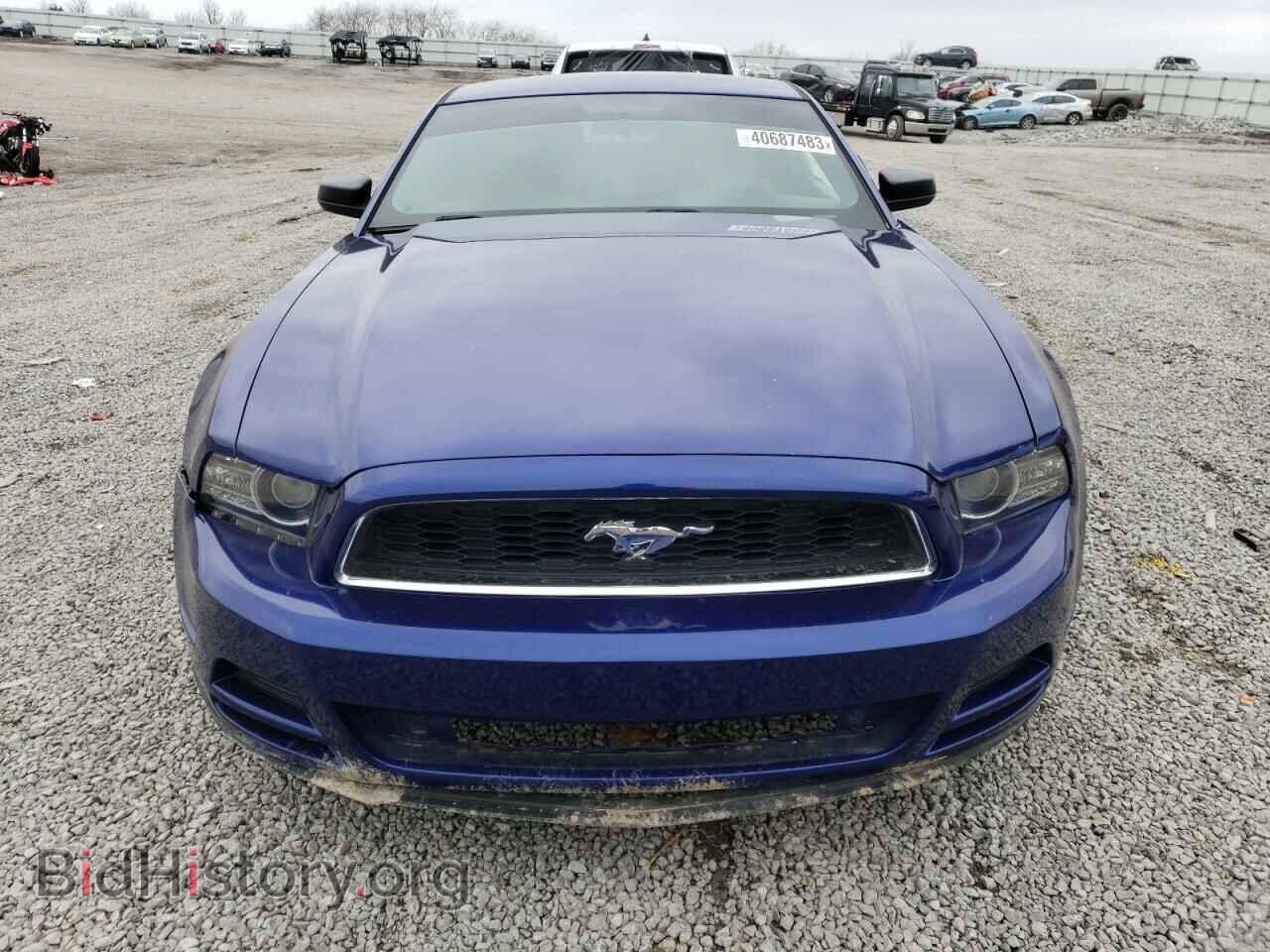 2013 FORD MUSTANG - VIN: 1ZVBP8AM8D5269986 - Фото 5