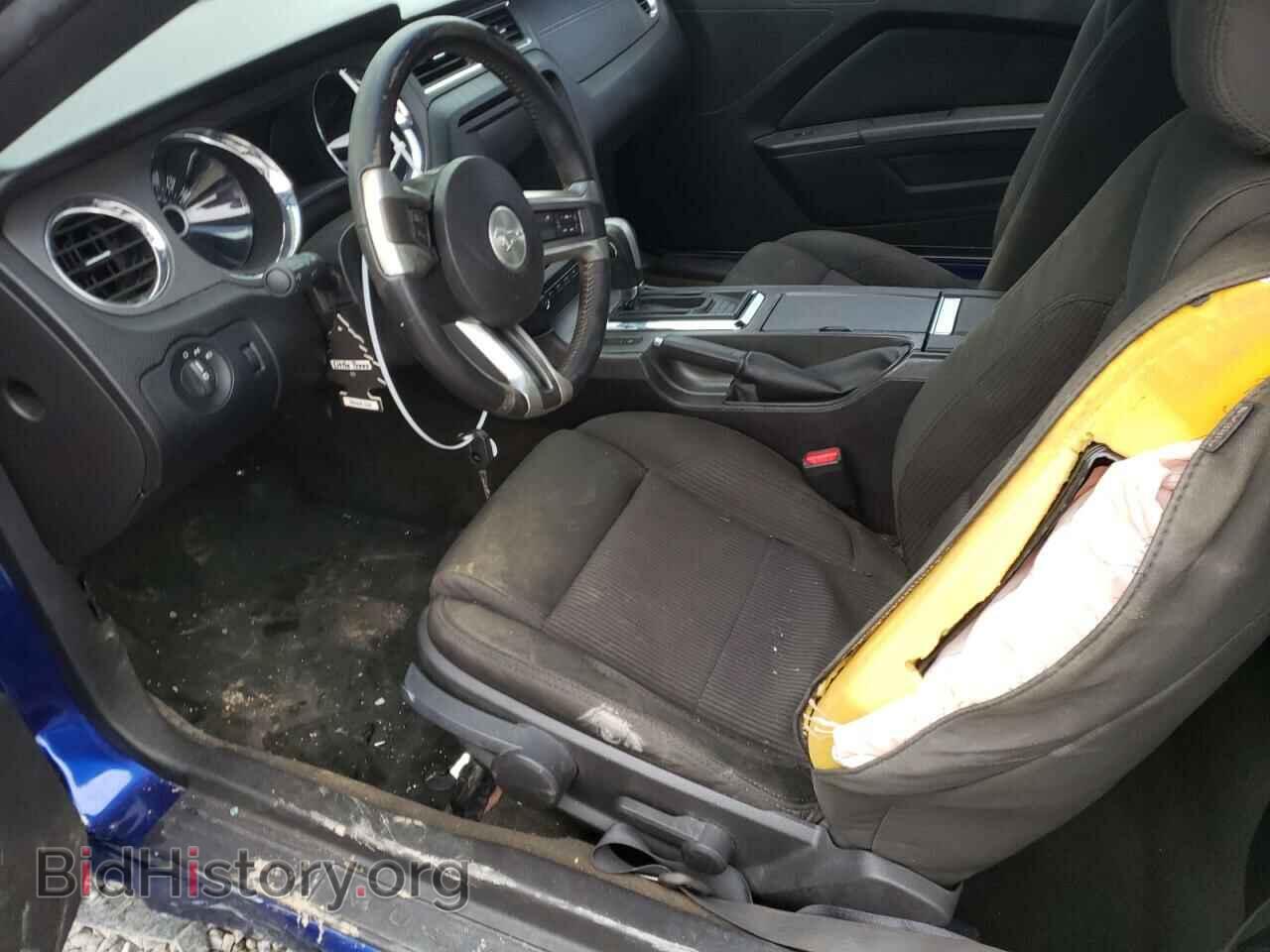 2013 FORD MUSTANG - VIN: 1ZVBP8AM8D5269986 - Фото 7