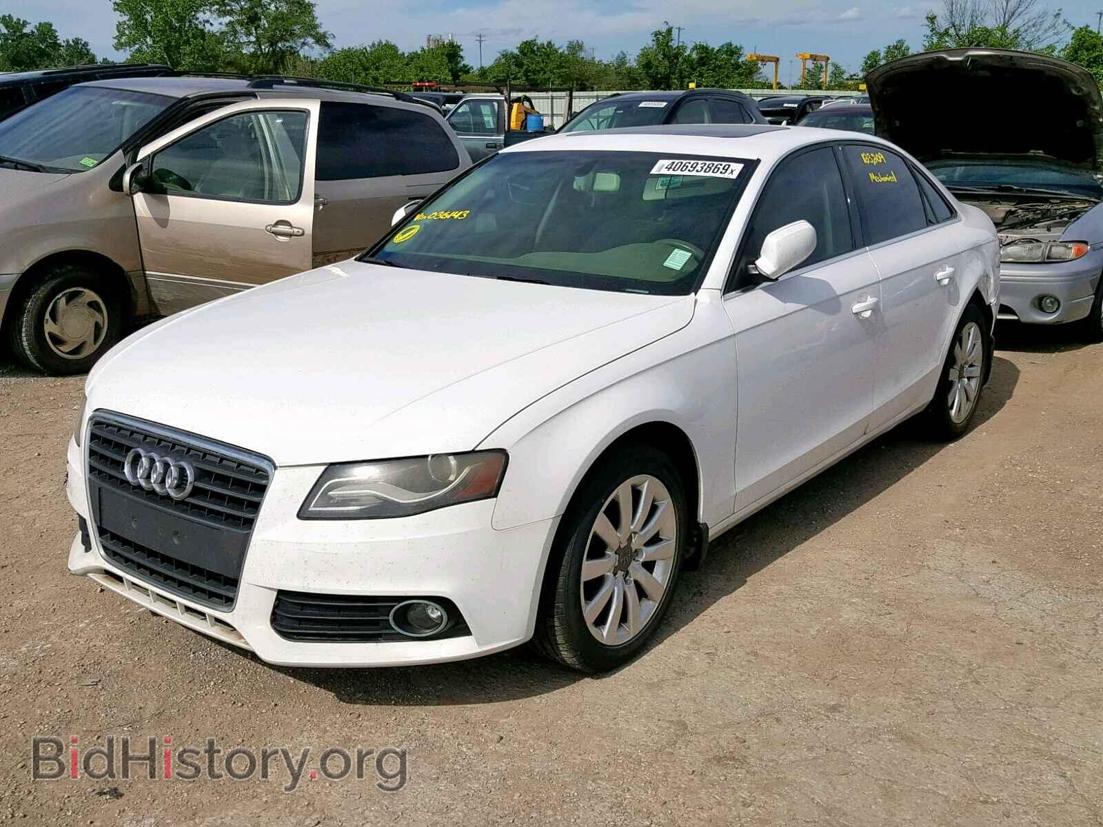 2010 AUDI A4 - VIN: WAUEFAFL6AN036143 - Фото 2