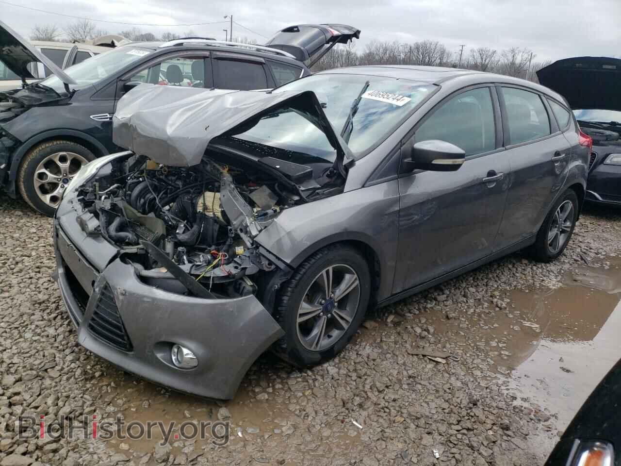 Фотография 1FADP3K26EL439020 - FORD FOCUS 2014