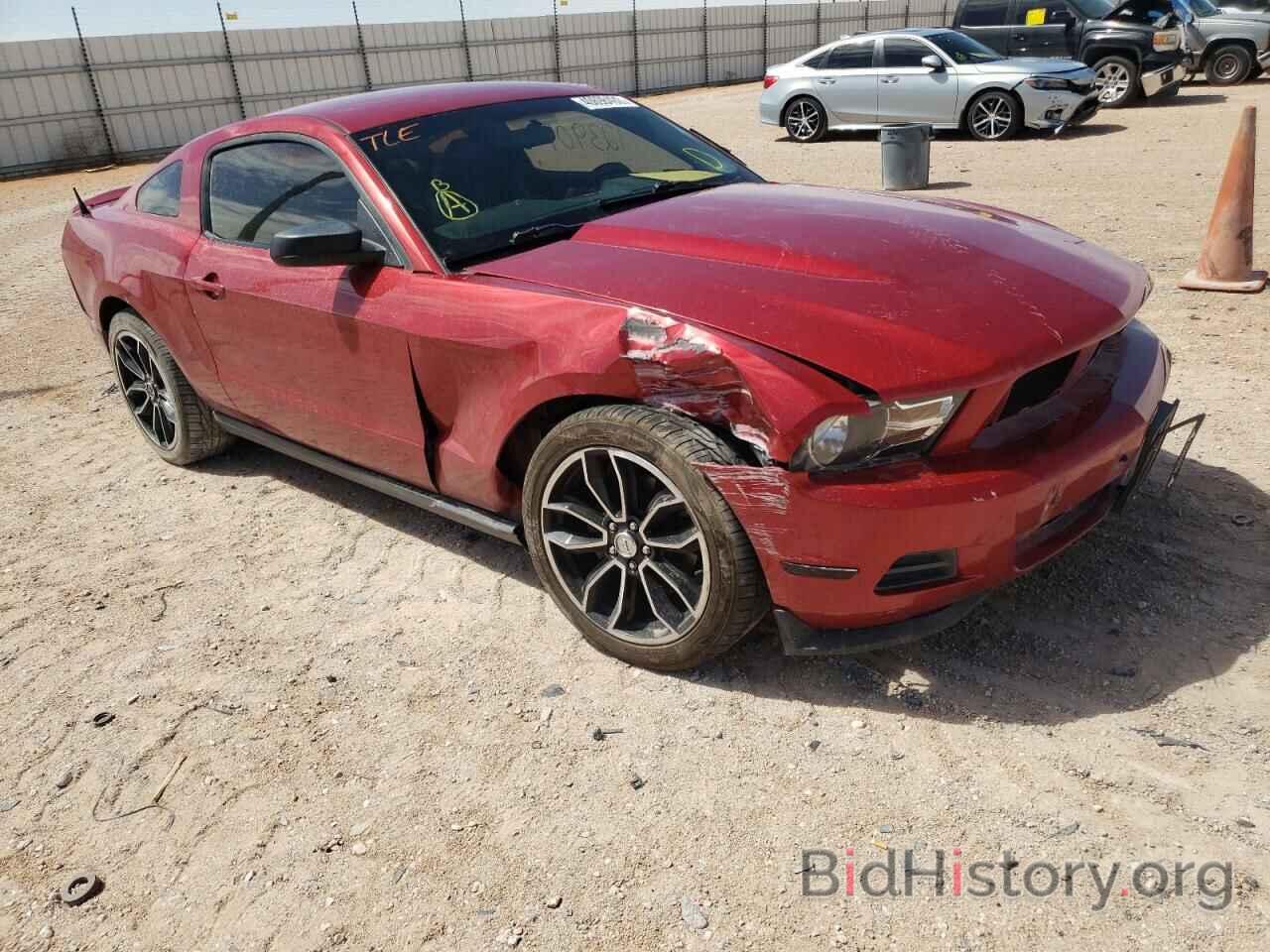 Photo 1ZVBP8AM0C5224099 - FORD MUSTANG 2012