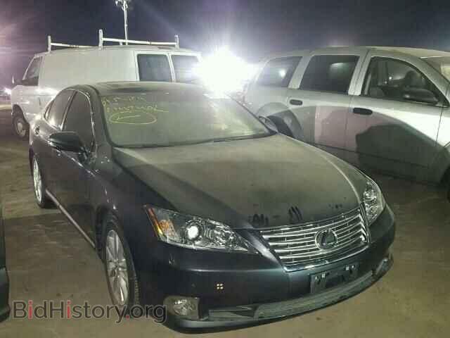 Photo JTHBK1EG0A2354507 - LEXUS ES 350 2010