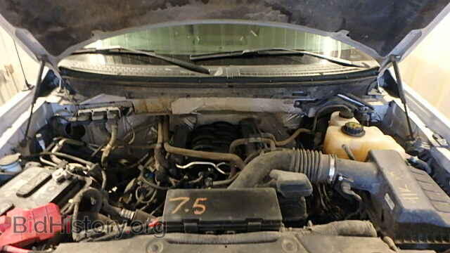 2013 FORD F150 - VIN: 1FTFX1EF7DFD83611 - Фото 7