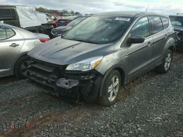 2014 FORD ESCAPE - VIN: 1FMCU0GX0EUC64335 - Photo 2