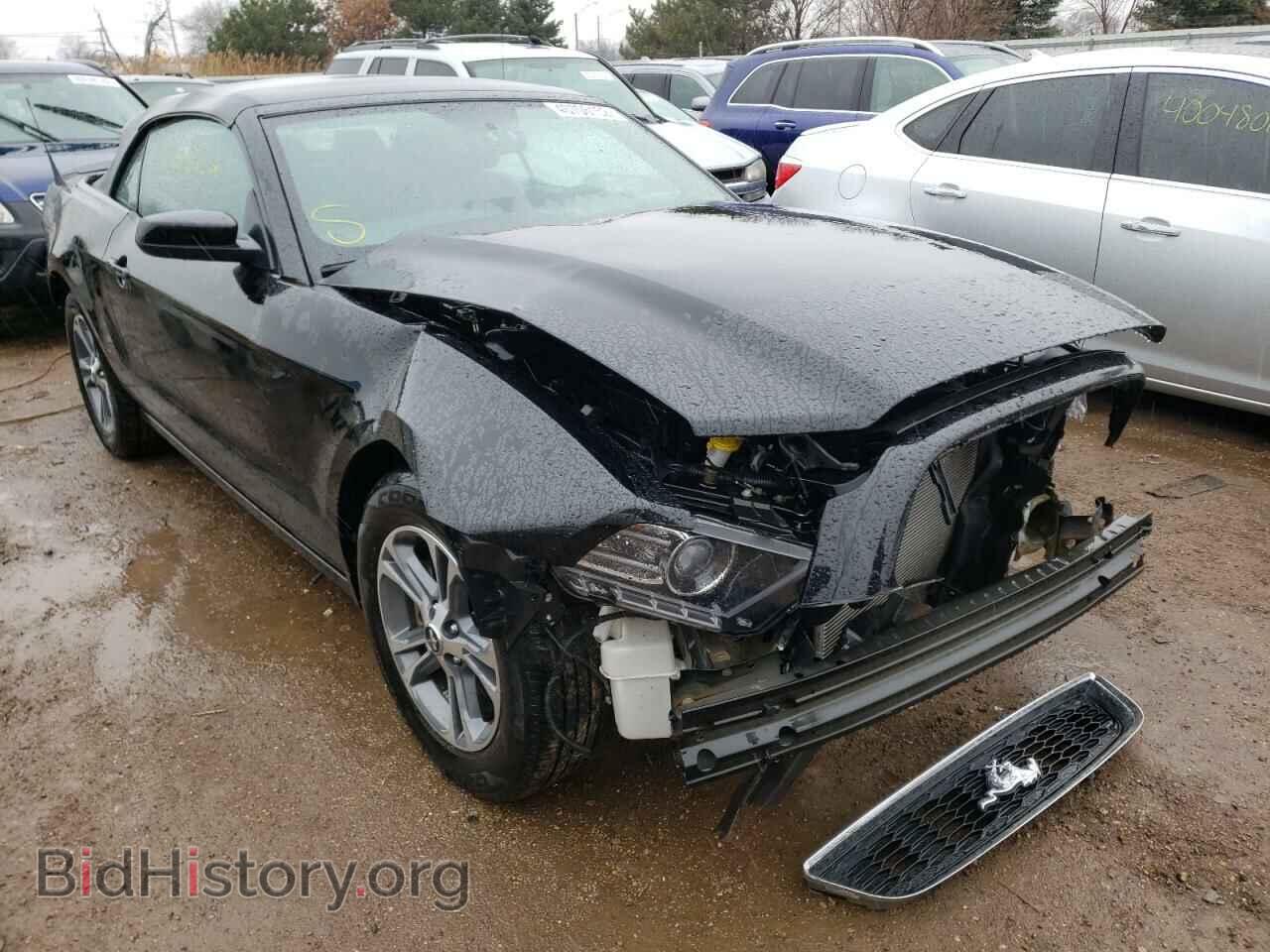 Фотография 1ZVBP8EM4E5238200 - FORD MUSTANG 2014