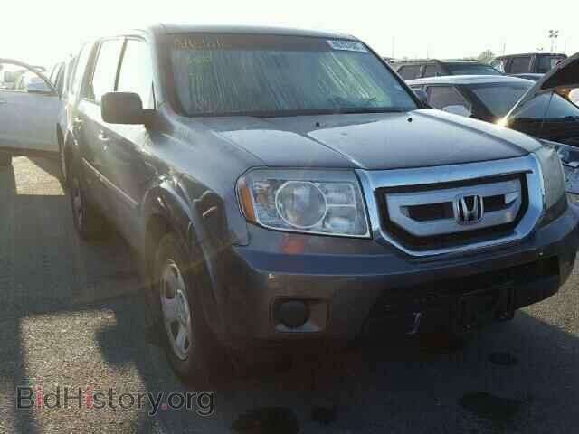 Фотография 5FNYF3H24BB007384 - HONDA PILOT 2011