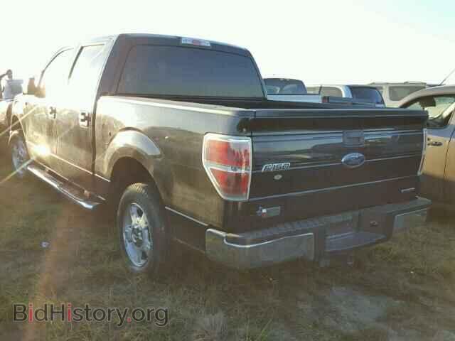 2014 FORD F150 - VIN: 1FTEW1CM2EFA47026 - Фото 3