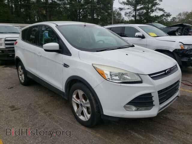 Фотография 1FMCU0GX9DUA80445 - FORD ESCAPE 2013