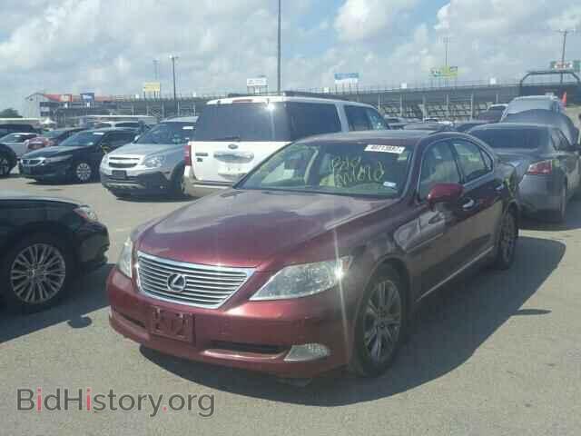 2008 LEXUS LS460 - VIN: JTHBL46F085054902 - Photo 2