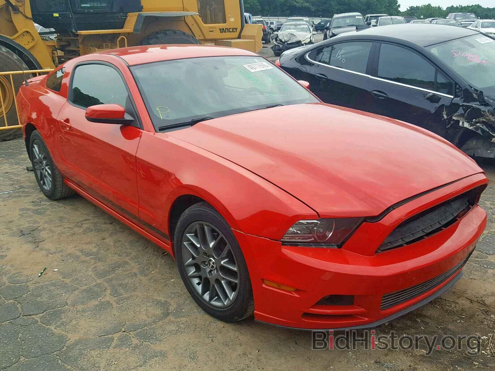 Photo 1ZVBP8AM9E5214271 - FORD MUSTANG 2014