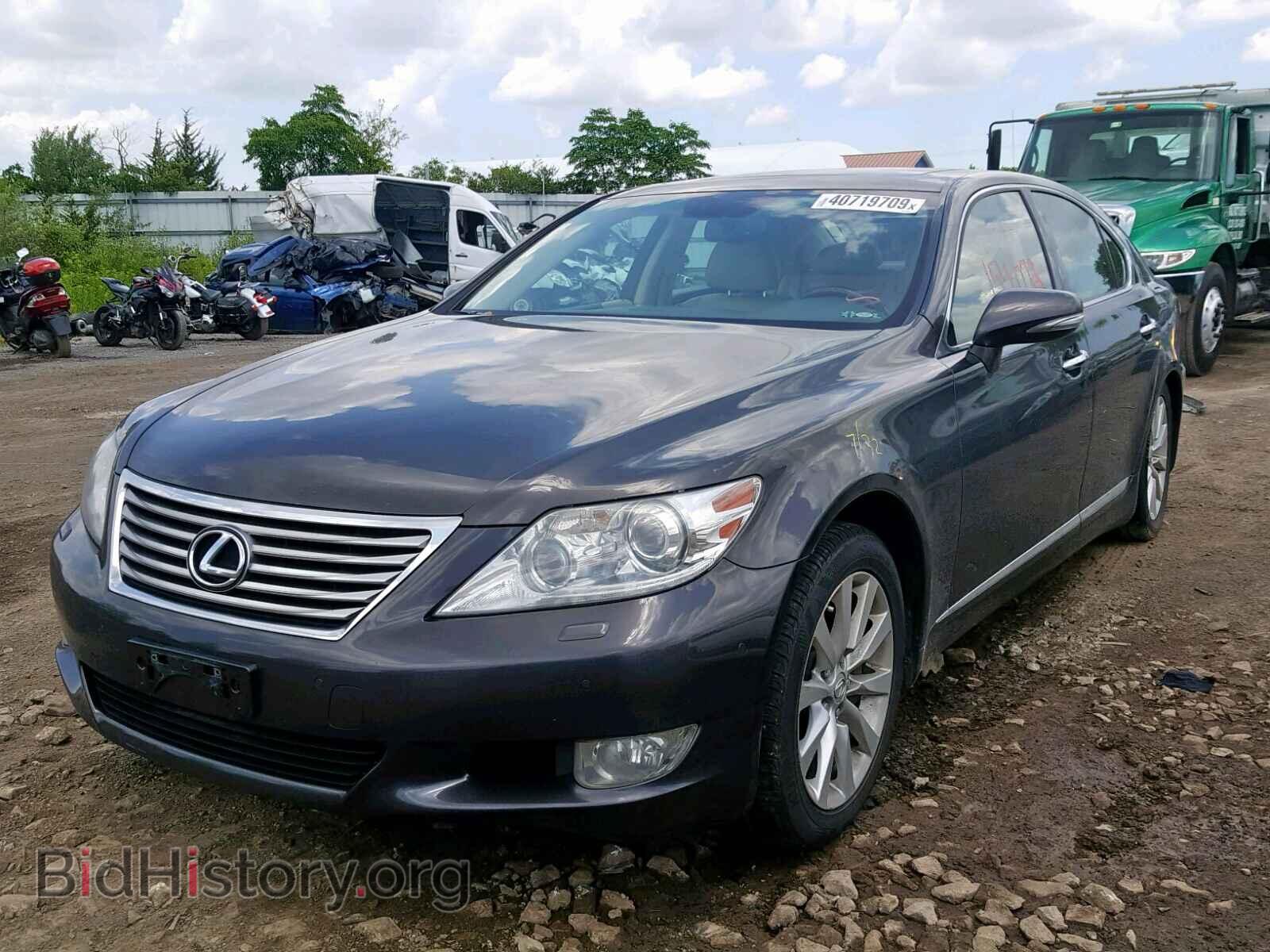 2010 LEXUS LS460 - VIN: JTHCL5EF8A5007859 - Фото 2