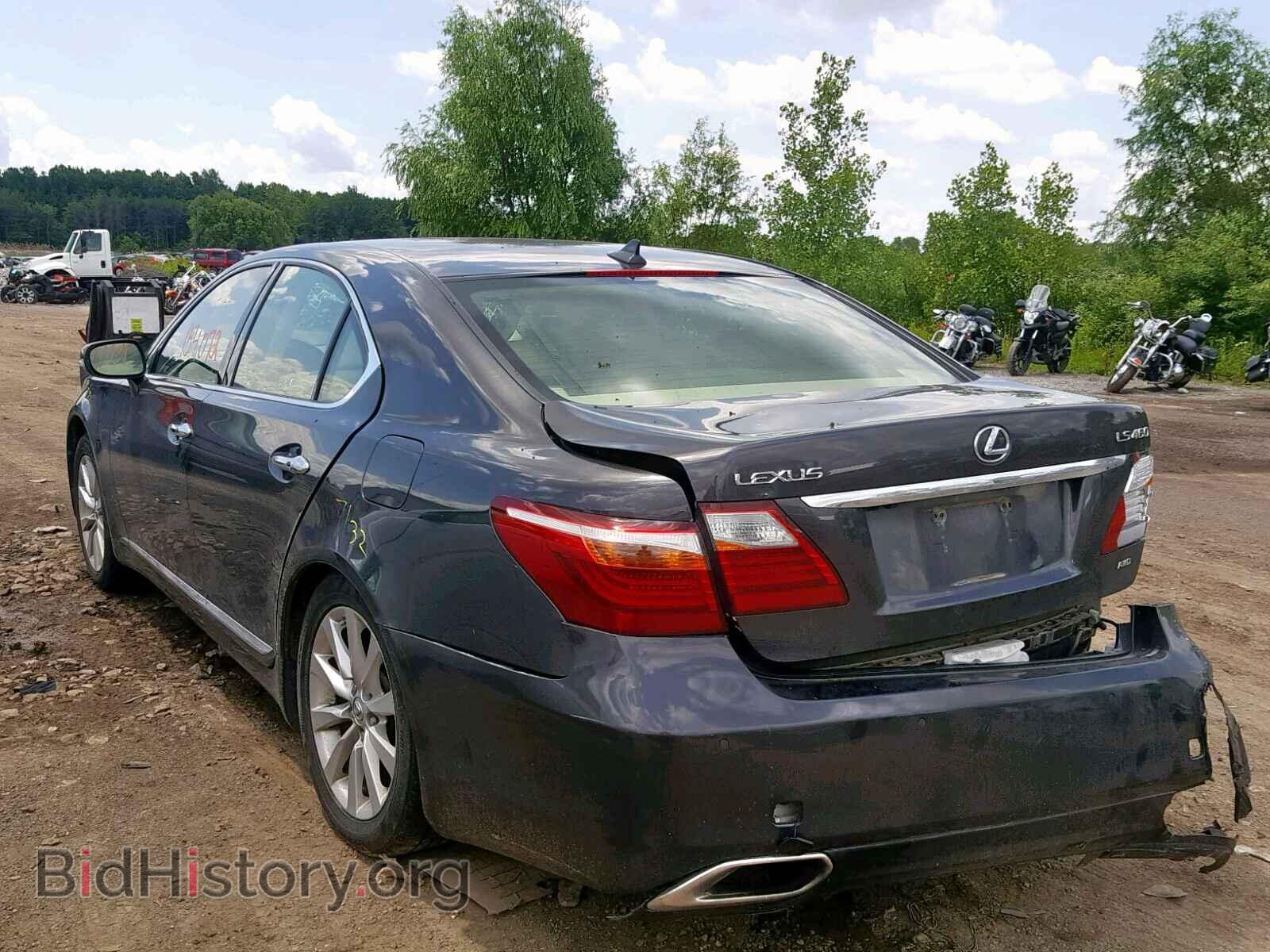 2010 LEXUS LS460 - VIN: JTHCL5EF8A5007859 - Фото 3
