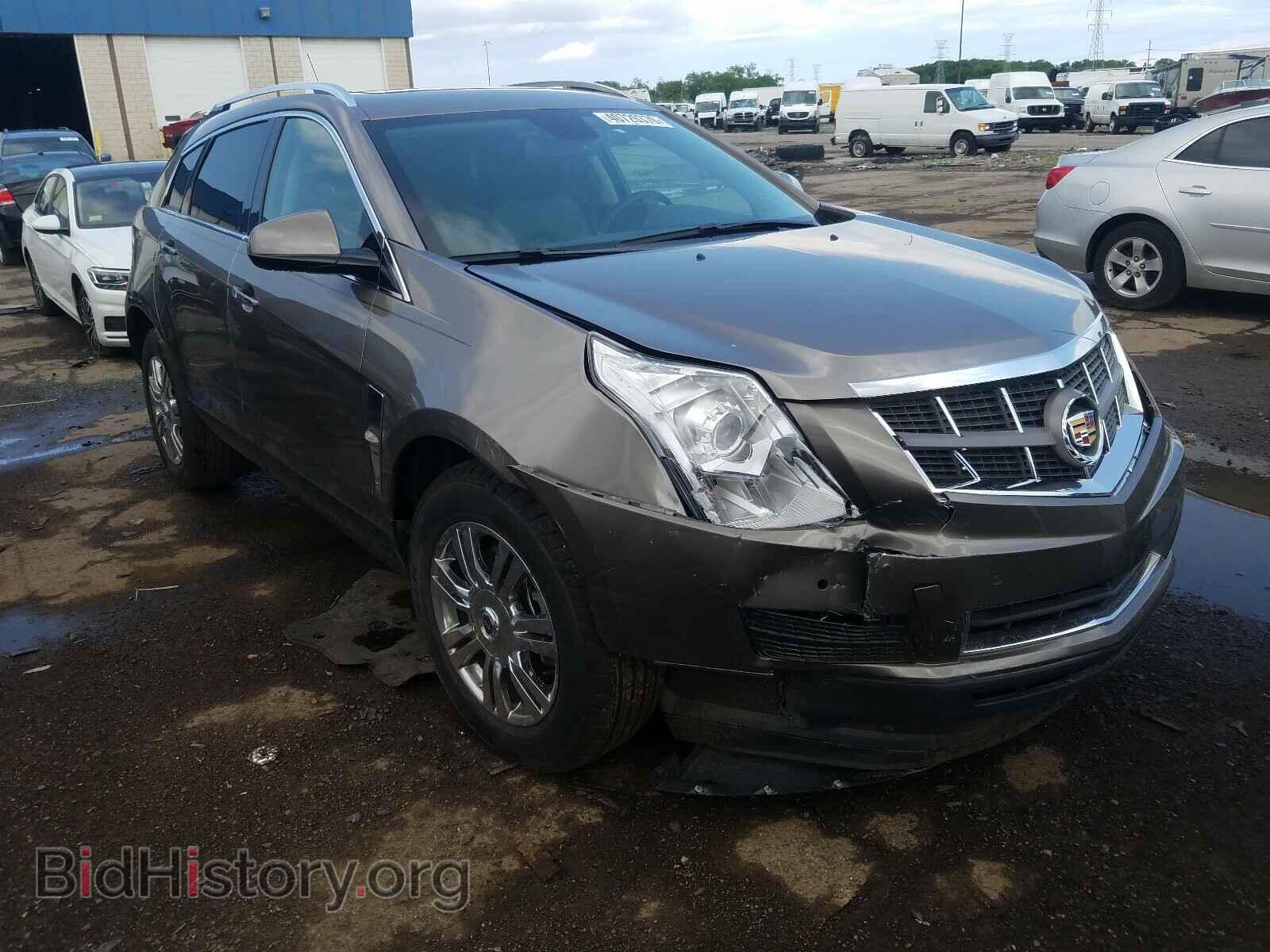 Photo 3GYFNDEY4BS513274 - CADILLAC SRX 2011