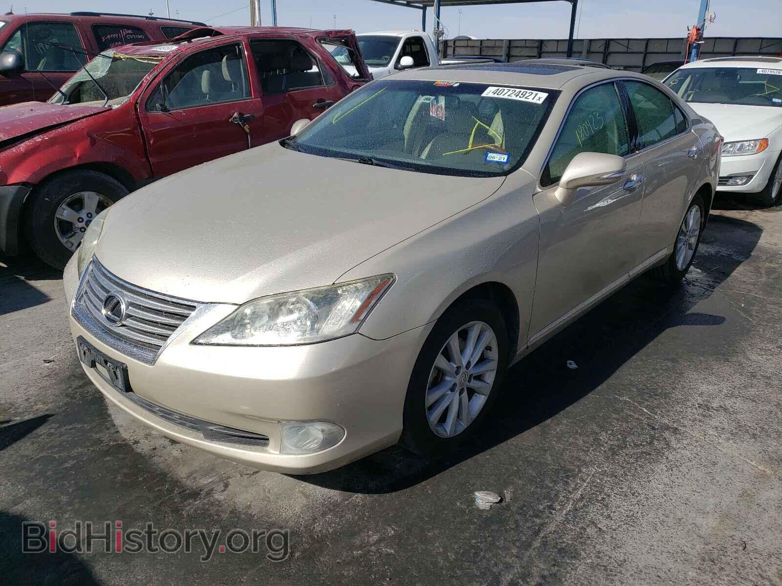 2010 LEXUS ES350 - VIN: JTHBK1EG3A2384939 - Фото 2
