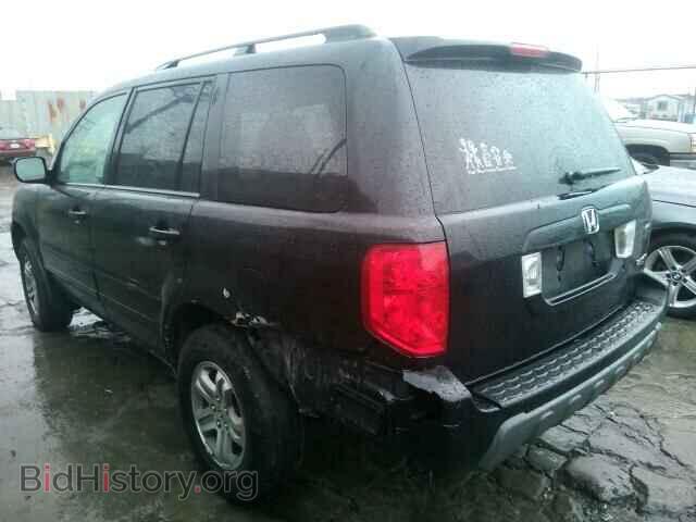2005 HONDA PILOT - VIN: 2HKYF18505H548145 - Фото 3