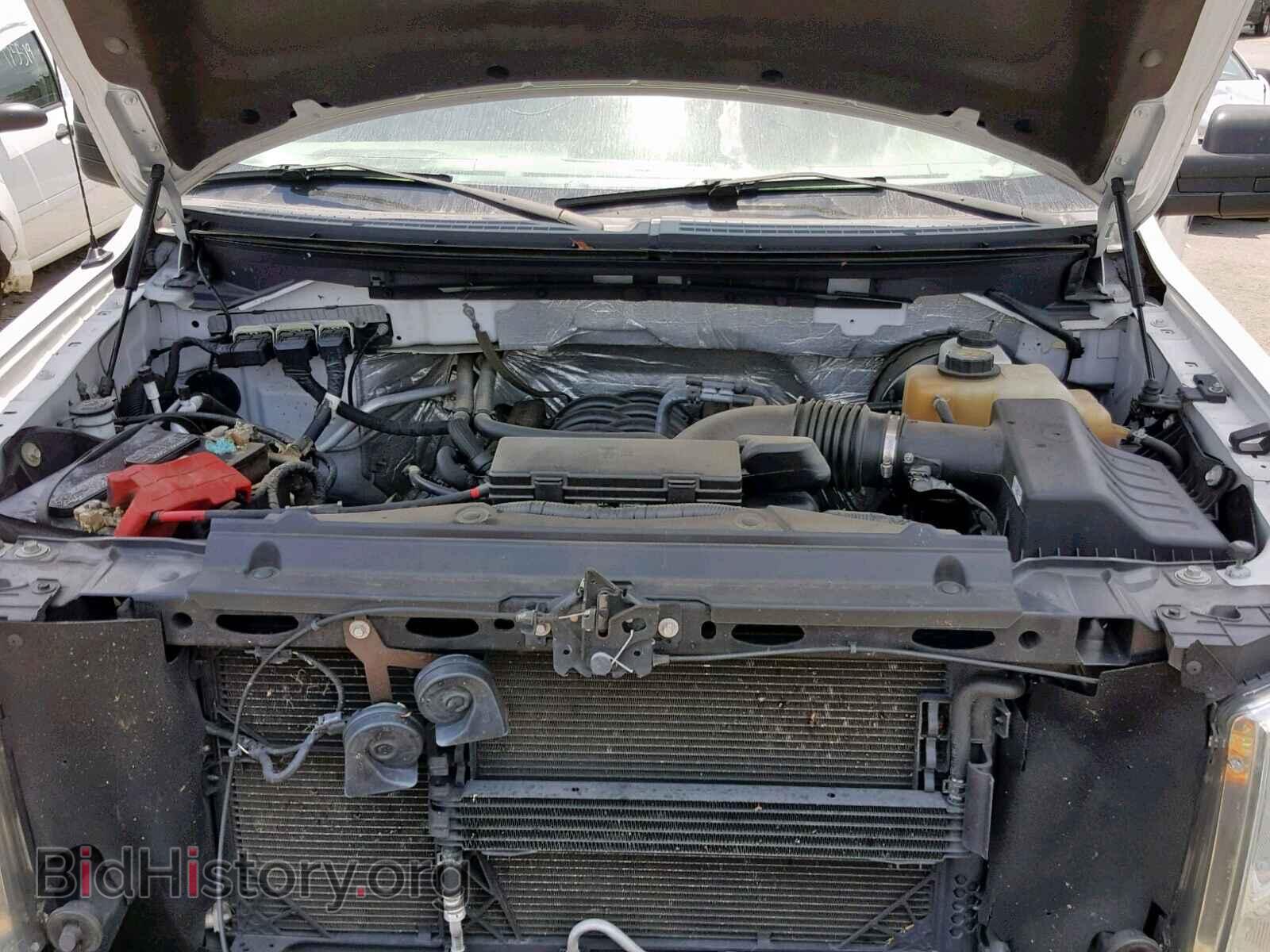 2013 FORD F150 - VIN: 1FTMF1CF5DFB41915 - Фото 7